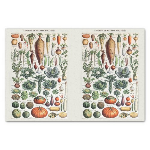 Millot Illustrations Garden Vegetables Decoupage Tissue Paper