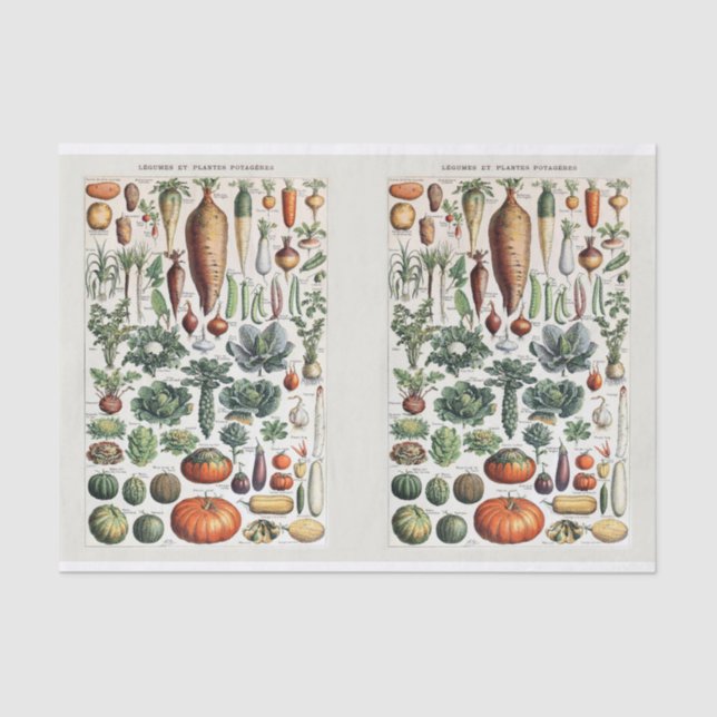 Millot Illustrations, Garden Vegetables, Decoupage Tissue Paper (Front)