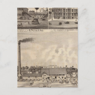 Mills and Lumberyard in Minnesota Postcard