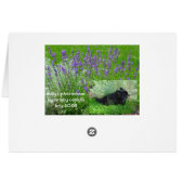 Milly's Card (Back Horizontal)