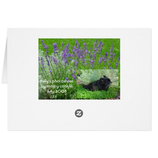 Milly's Card (Back Horizontal)