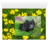 Milly's Card (Inside Horizontal (Bottom))