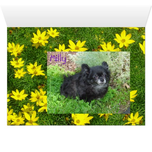 Milly's Card (Inside Horizontal (Bottom))