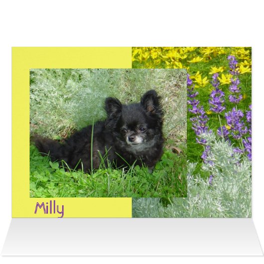 Milly's Card (Inside Horizontal (Top))