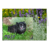 Milly's Card (Front Horizontal)