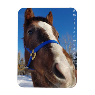 Milton Monday Magnet