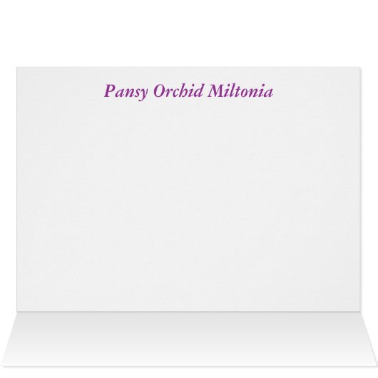 Miltonia hybrid orchid (Inside Horizontal (Top))