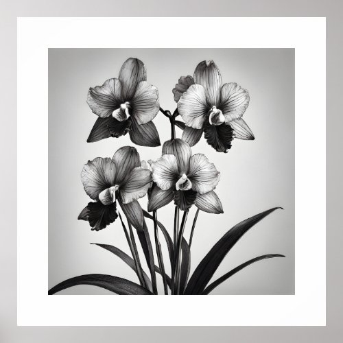 Miltonia Orchids II Monochromatic Art Prints