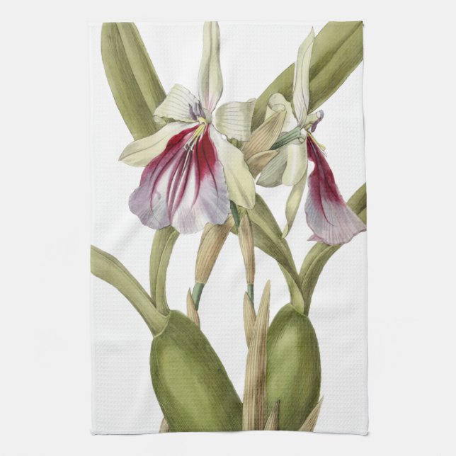 Miltonia Spectabilis orchid botanical kitchen towe Towel (Vertical)