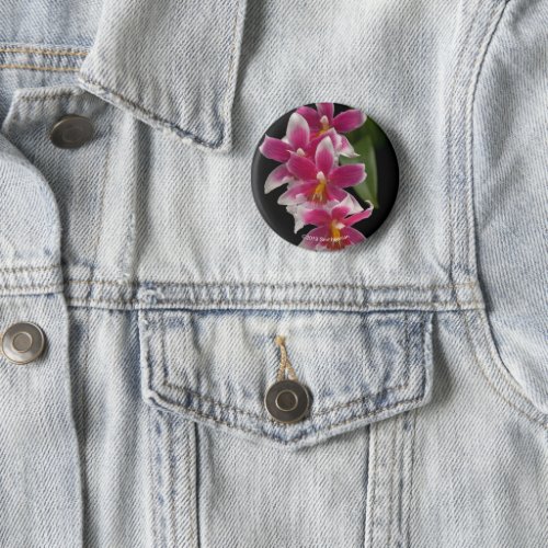 Miltonioda Sakura Button