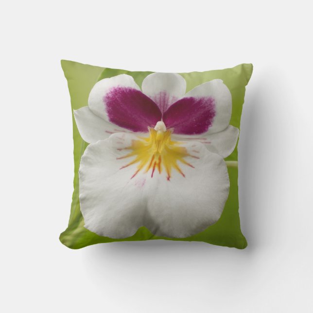 Miltoniopsis Roezlii (Pansy Orchids) Throw Pillow (Front)