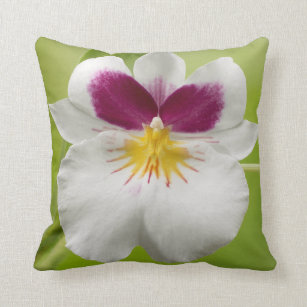 Miltoniopsis Roezlii (Pansy Orchids) Throw Pillow