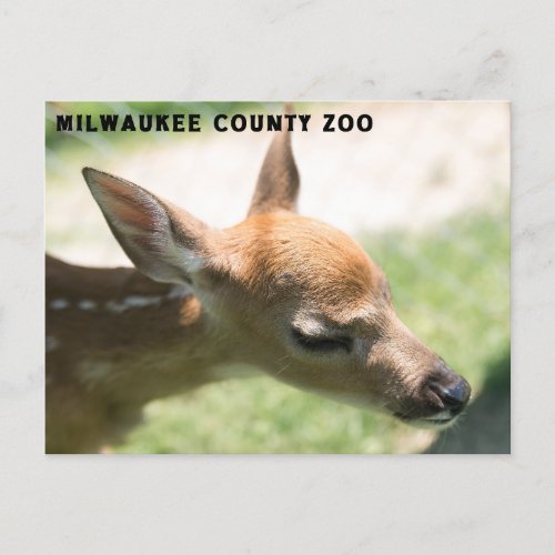 milwaukee county zoo postcard