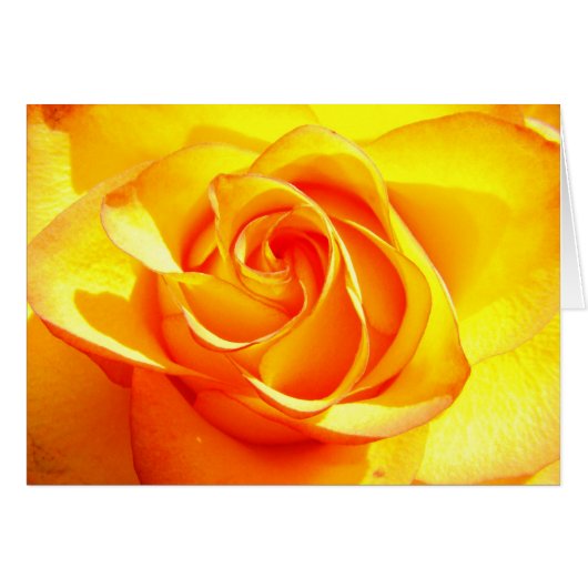 Mimi Rose Cards (Front Horizontal)