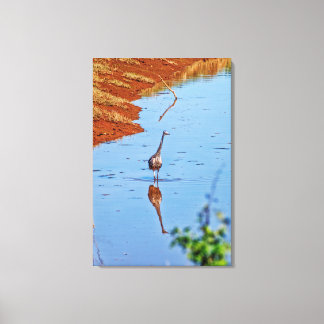 Mimicking Canvas Print