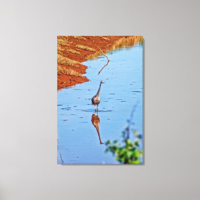 Mimicking Canvas Print (Front)