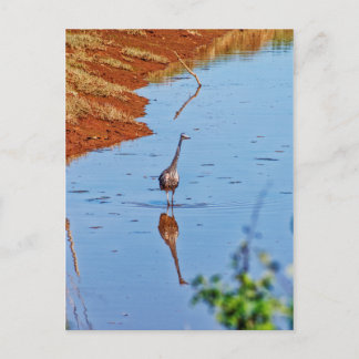 Mimicking Postcard
