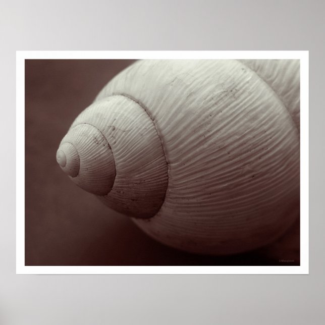 mimilesmile poster (Front)