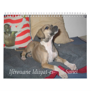 Mimi's Zoo Calendar