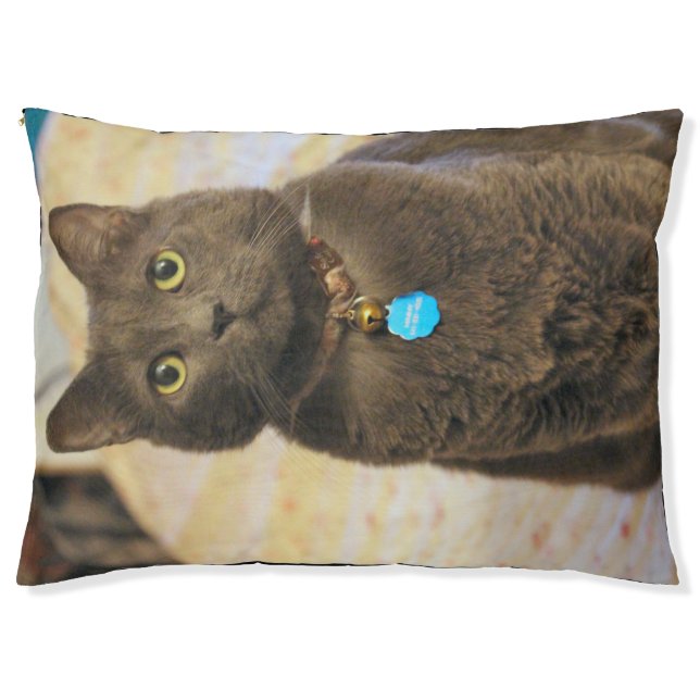 Mimmy Pet Bed (Front)