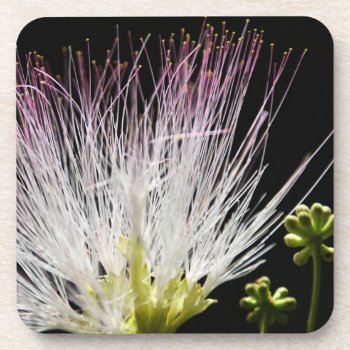 Mimosa Beverage Coaster by artinphotography at Zazzle