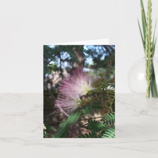 Mimosa Flower Note Card (Front)