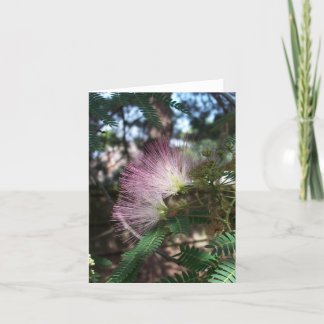 Mimosa Flower Note Card