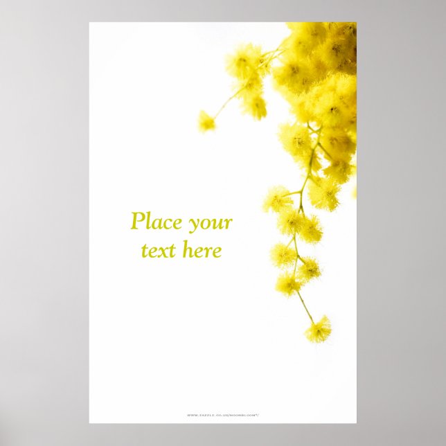 Mimosa Poster (Front)