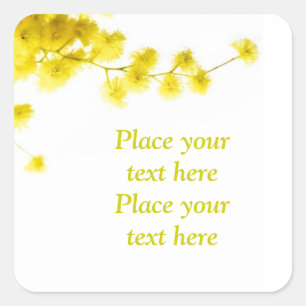 Mimosa Square Sticker