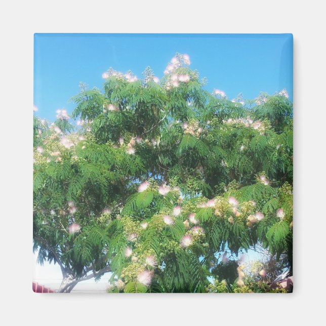Mimosa Tree Magnet (Front)