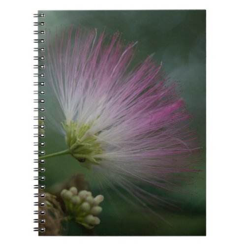 Mimosa Tree Pink Wildflower Floral Notebook