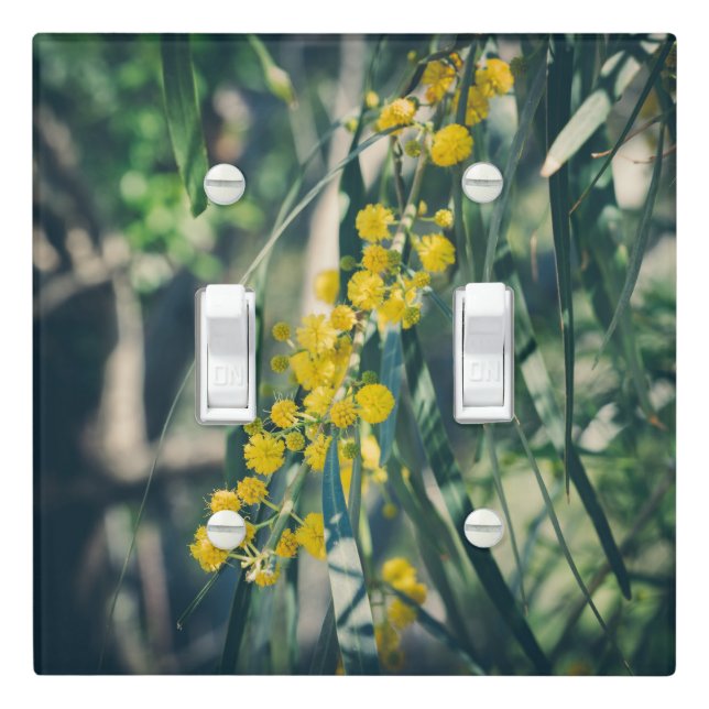 Mimosa Tree with Yellow Flowers Light Switch Cover (In Situ)
