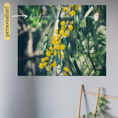 Mimosa Tree with Yellow Flowers Poster