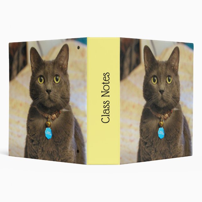 Mims 3 Ring Binder (Background)