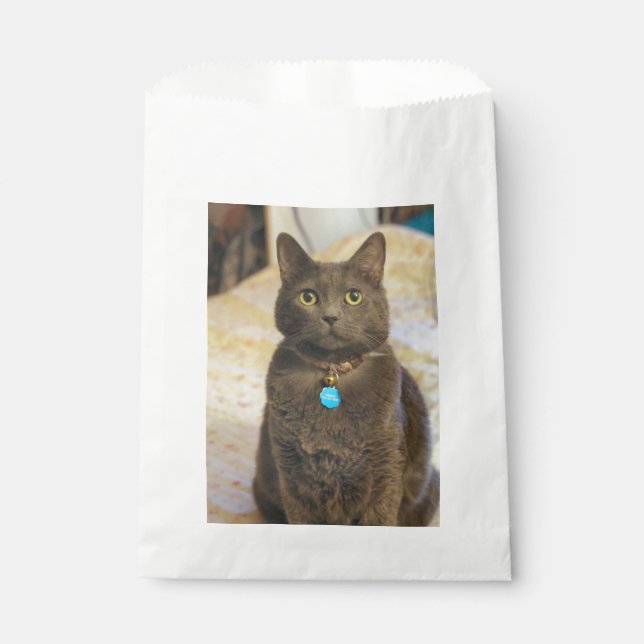 Mims   favor bag (Front)