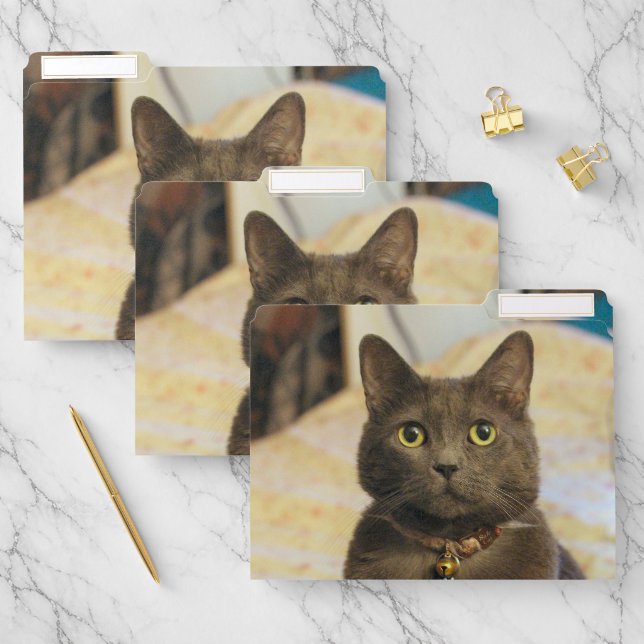Mims File Folder (Set)