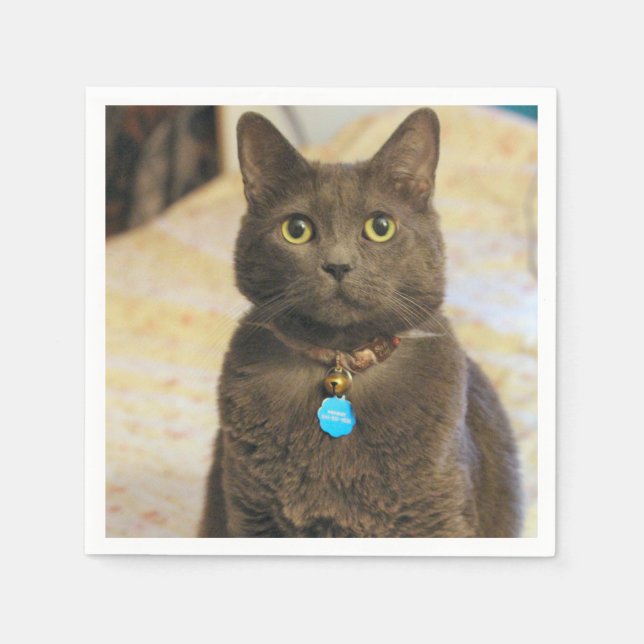 Mims    napkins (Front)