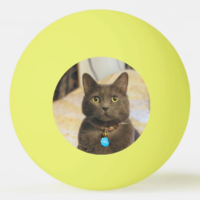 Mims Ping Pong Ball (Front)