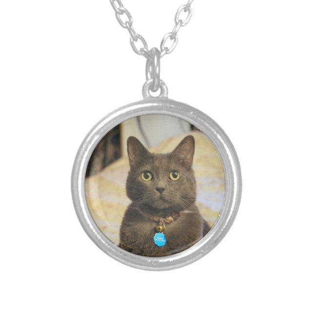 Mims Silver Plated Necklace (Front)