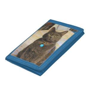 Mims trifold wallet