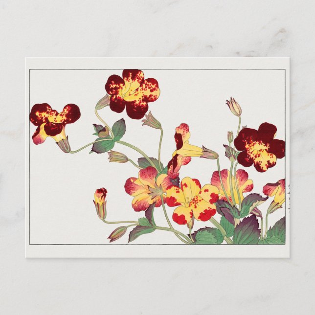 Mimulus luteus by Tanigami Konan Postcard (Front)