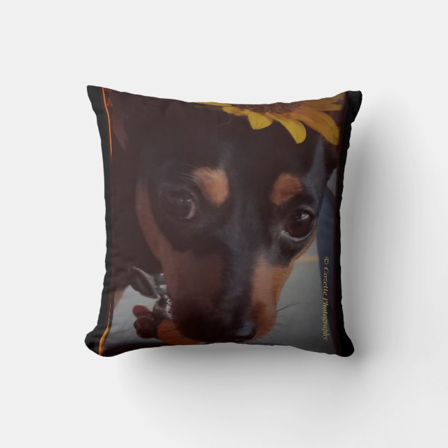 Min Pin and Sunflowers Throw Pillow (Front)
