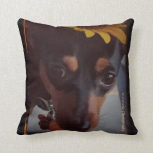Min Pin and Sunflowers Throw Pillow