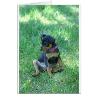 min pin cards