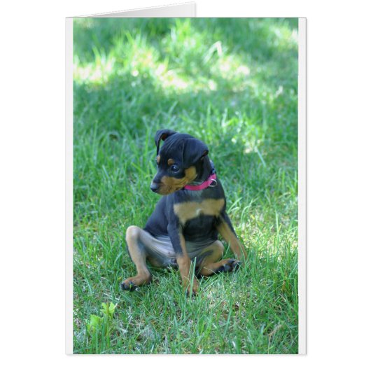 min pin cards (Front)