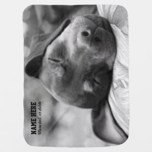 Min Pin Dog Personalized Pet Blanket