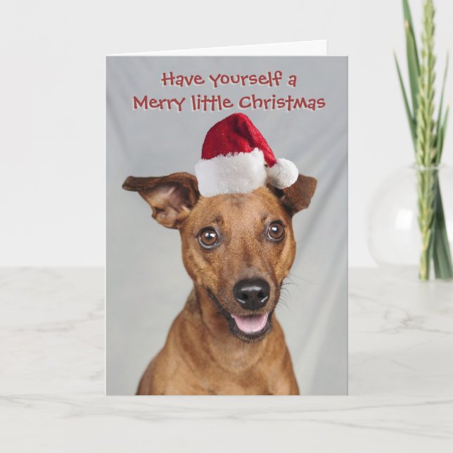 Min Pin dog with Santa cap Christmas card (Front)