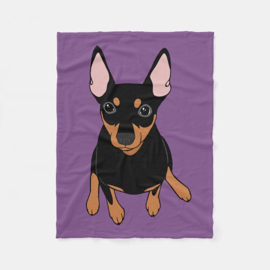 miniature pinscher min pin