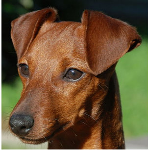 min pin statuette