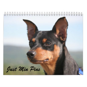 Min Pins 2013 Calendar